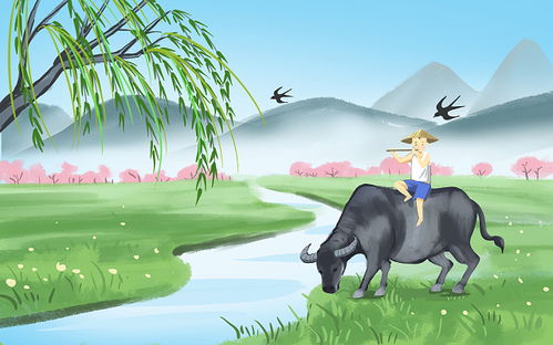 湖州吴兴区同城特色服务资源与网络技术概述